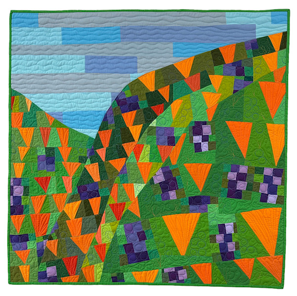 Wildflower Hills by Barbara Danzi, Image 13.