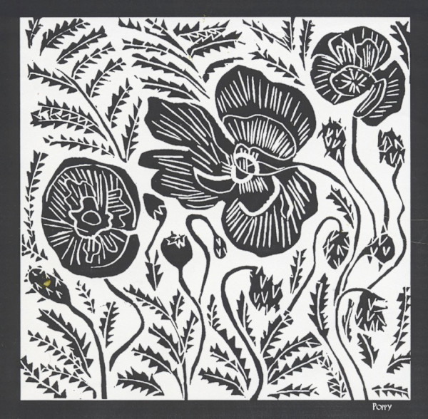 Poppies by Anita Inez White