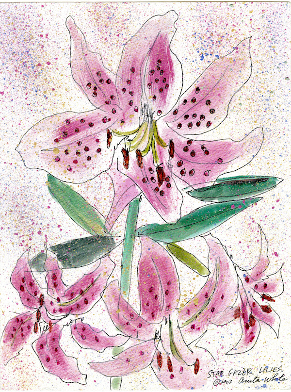 Stargazer Lilies by Anita Inez White