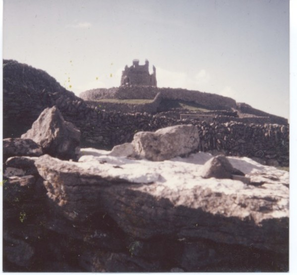 O'Brian's Castle by Anita Inez White