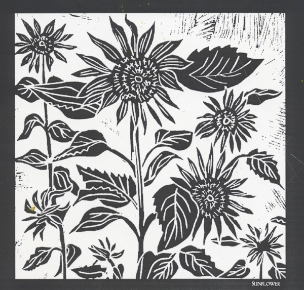 Sunflower by Anita Inez White