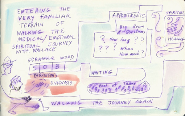 Entering the Medical Labyrinth by Anita Inez White