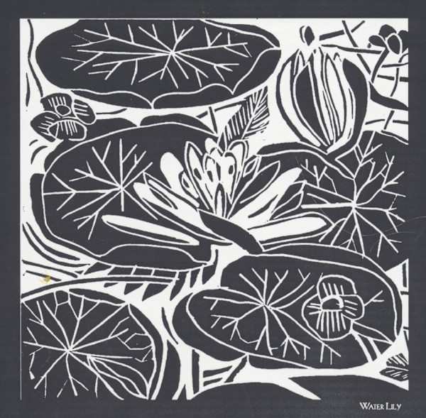 Waterlilies by Anita Inez White