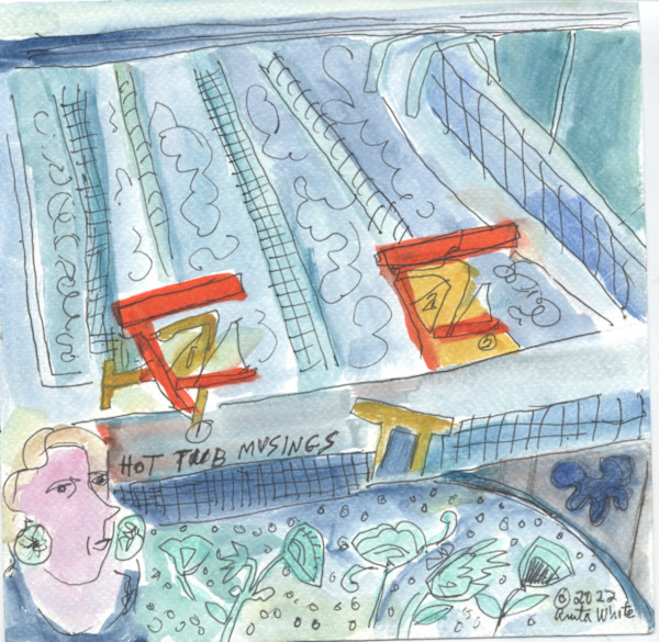 Hot Tub Musings by Anita Inez White