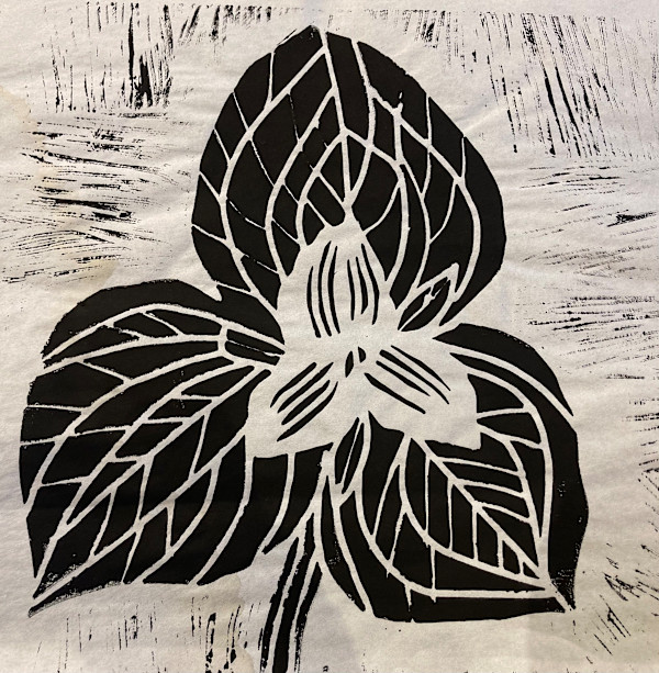 Trillium by Anita Inez White