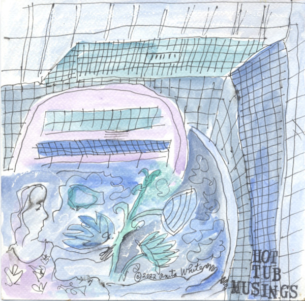 Hot Tub Musings by Anita Inez White