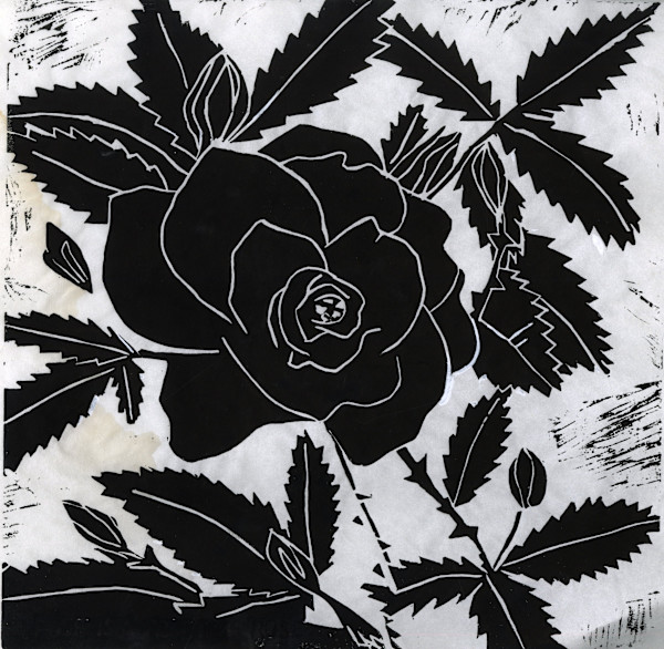 Rose by Anita Inez White