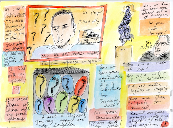 Zoom Case in Immigration Court by Anita Inez White