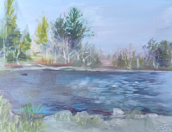 Cedar River by Melissa  Z. Clark