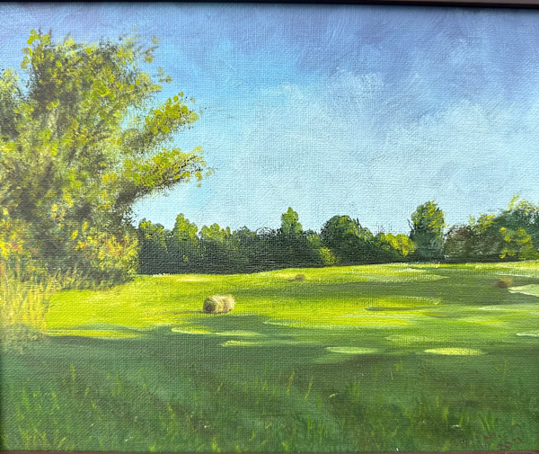 Hayfield by Melissa  Z. Clark