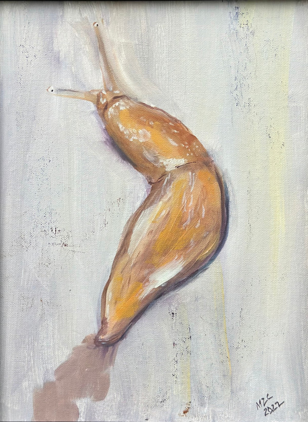 Slug by Melissa  Z. Clark
