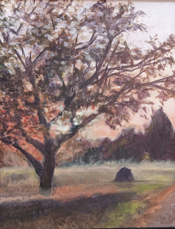 Sunset on the Walnut Tree by Melissa  Z. Clark