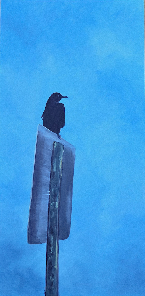 Bird On a Sign by Melissa  Z. Clark