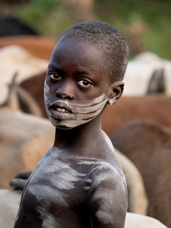 Suri Boy in Cattle Camp by George Salter Photography