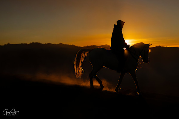 Tengger Horseman at Dawn by George Salter Photography, Image 1.