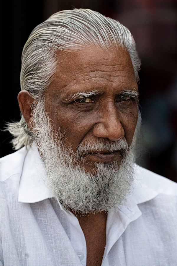 White Bearded Gentleman by George Salter Photography, Image 1.