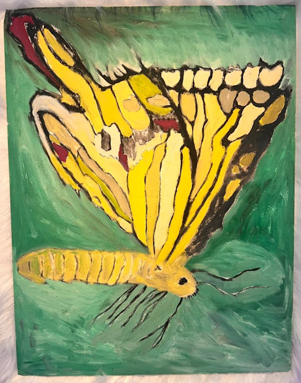 Clouded Yellow (Borboleta Maravilha) by Eduardo Faduled