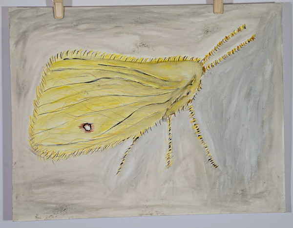 Cloudless Sulphur (Borboleta Amarela) by Eduardo Faduled