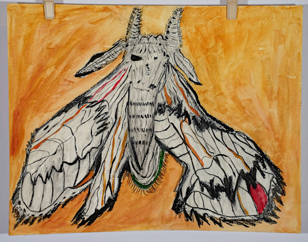 Sallow Kitten (Gatinho Pálido) by Eduardo Faduled