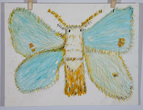 Yellow Tail Tussok (Borboleta da Cauda Amarela) by Eduardo Faduled