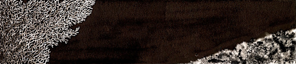 Black horizon 2 by Aurélie Jourdain