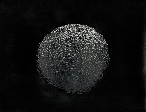 The brother by Aurélie Jourdain