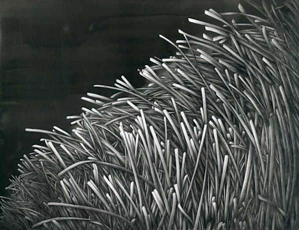 Ribbons by Aurélie Jourdain