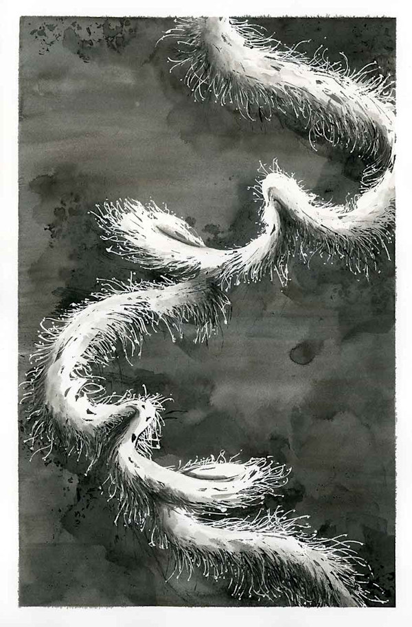 Siphonophore by Aurélie Jourdain