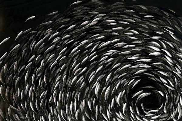 Follow me by Aurélie Jourdain