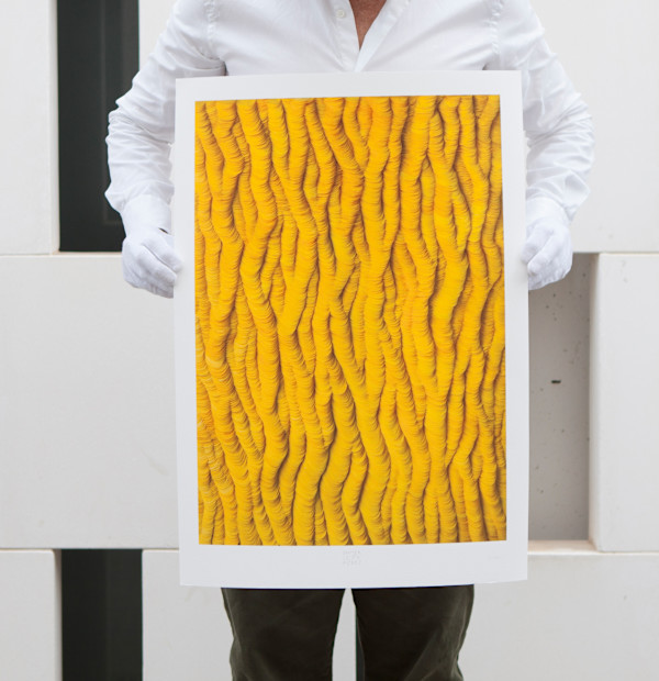 CYDONIA 06, Print limited edition by JAVIER LEÓN PÉREZ