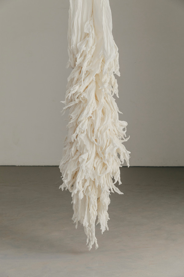 TWISTER AND CLUSTER 1, UNBILICAL series by JAVIER LEÓN PÉREZ