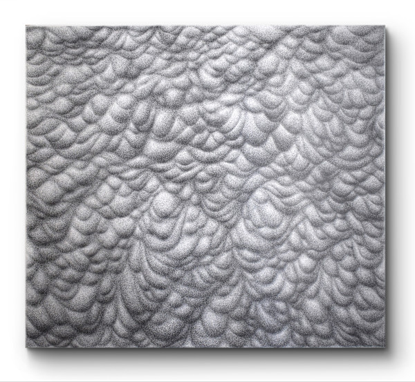 MAMMATUS DESERT 1, WOUND LANDSCAPE by JAVIER LEÓN PÉREZ