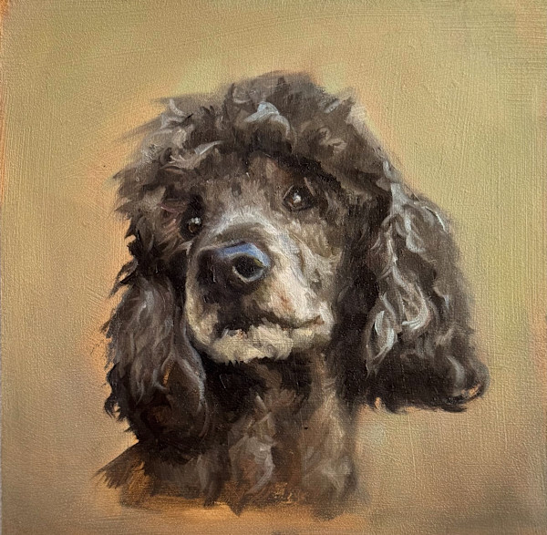 Kobi’s Senior Portrait by Lindsay Shillington