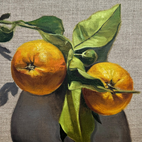 Oranges on Linen by Lindsay Shillington