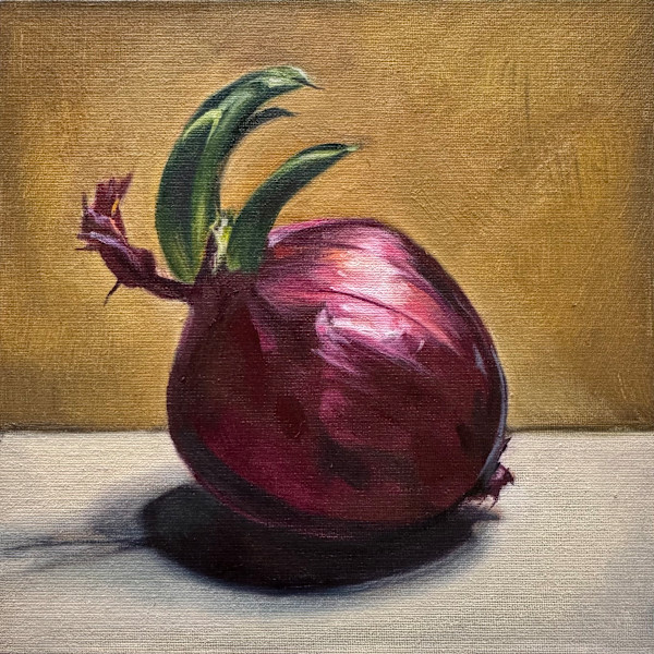 Red Onion by Lindsay Shillington
