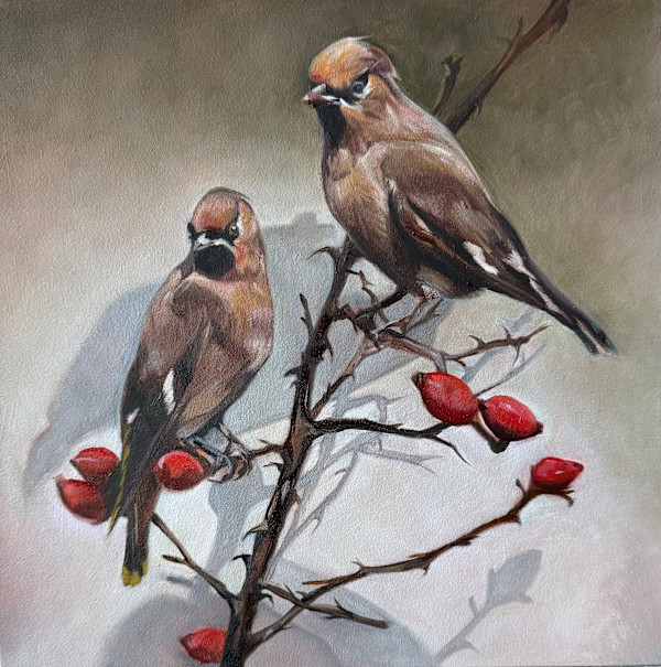 Dutch Birds by Lindsay Shillington