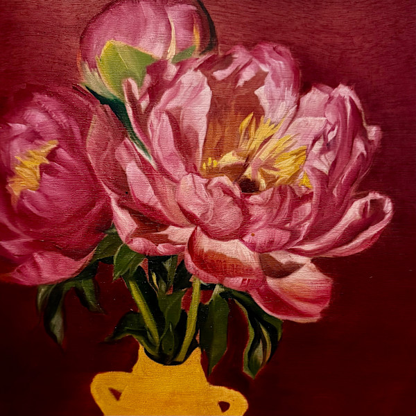 Full Peony by Lindsay Shillington