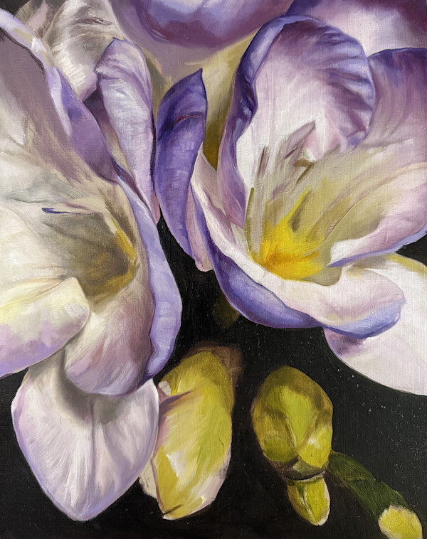 Freesia Close Up by Lindsay Shillington