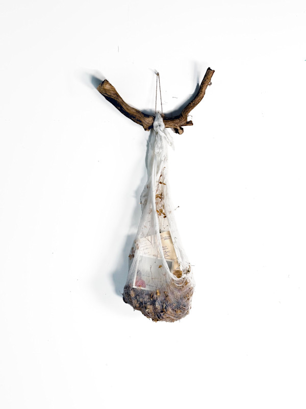Relics of Life by Jaclyn Gordyan