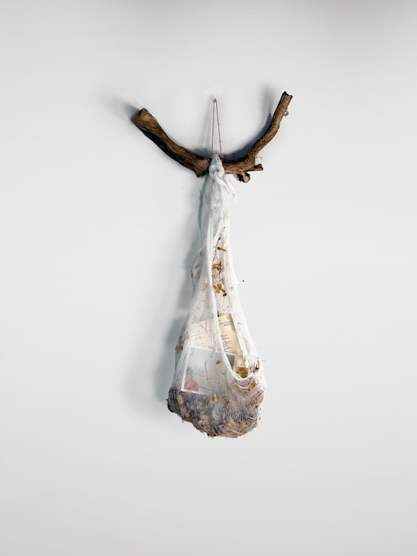 Relics of Life by Jaclyn Gordyan