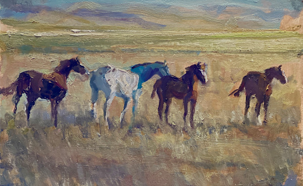 Focus by Shauna Shane