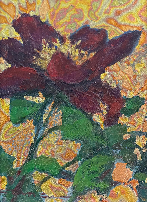 Tree Peony by Shauna Shane