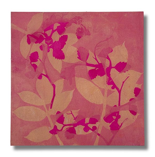 Soft Bloom by Hannah Klaus Hunter