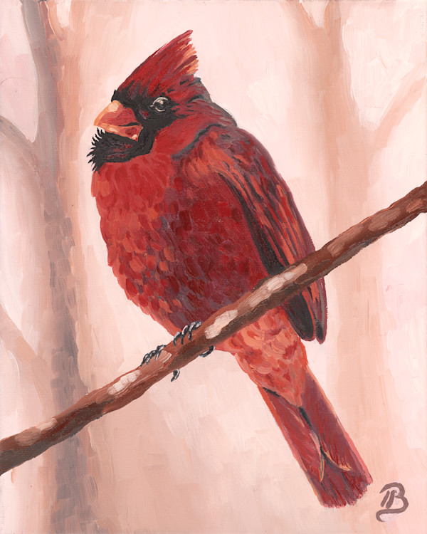 December Cardinal by Blair Owens  [Behold Fine Art]