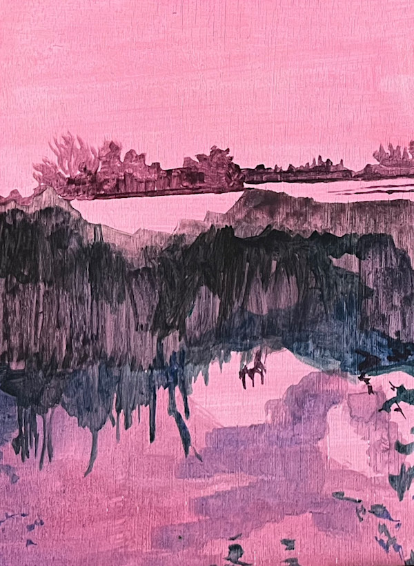 Pink Lake by Sarah Dee Barrett