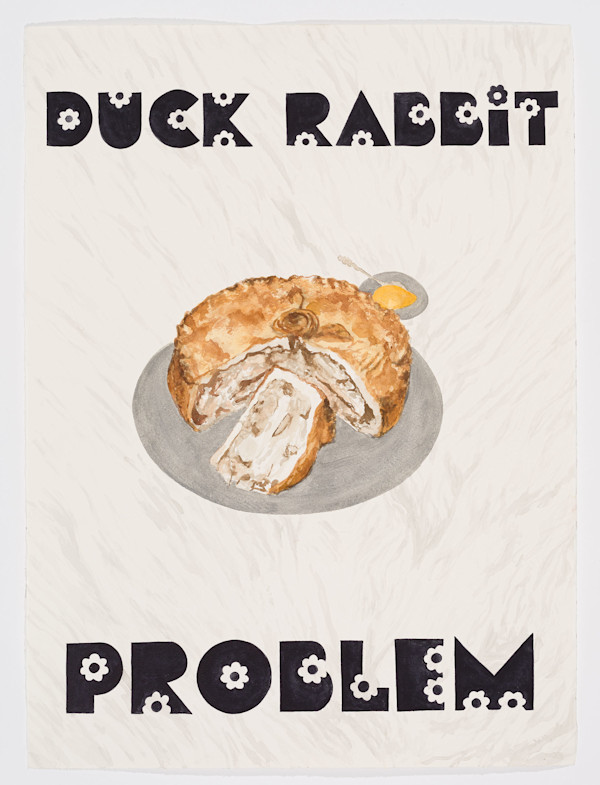 Duck Rabbit Problem by Stieg Persson