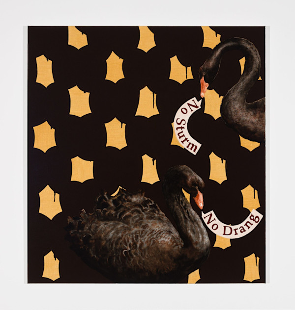 No Sturm, No Drang by Stieg Persson