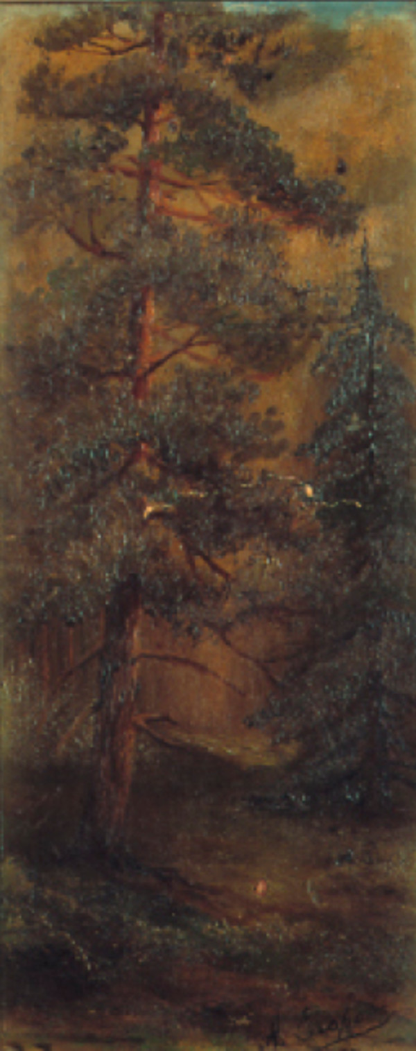 Albero al tramonto by Jegorov Andrei Afanasevich