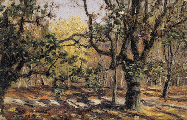 Autunno. Frutteto in Ucraina by Nikolaj Aleksandrovich Sergeev