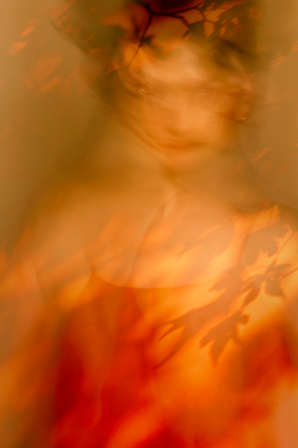 In the Shadow of Letting Go by Stella Gommans